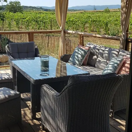 Dans Les Vignes Domaine Terre Des Mages