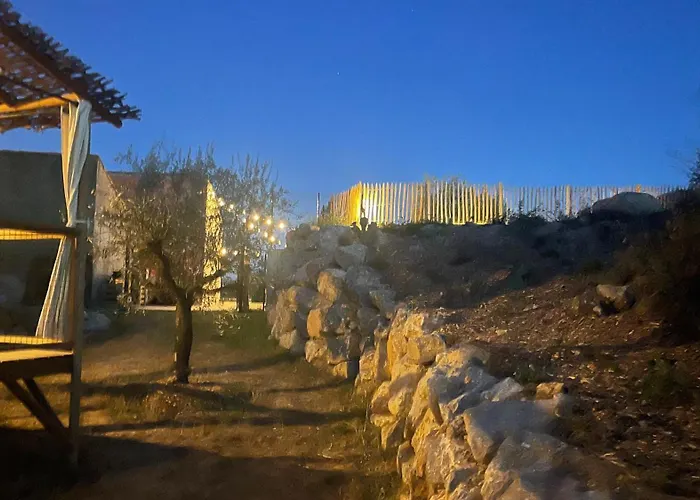 Dans Les Vignes Domaine Terre Des Mages Jaktstuga