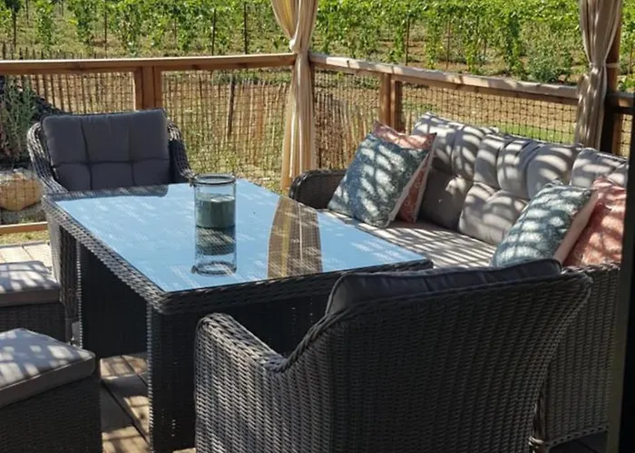 Dans Les Vignes Domaine Terre Des Mages